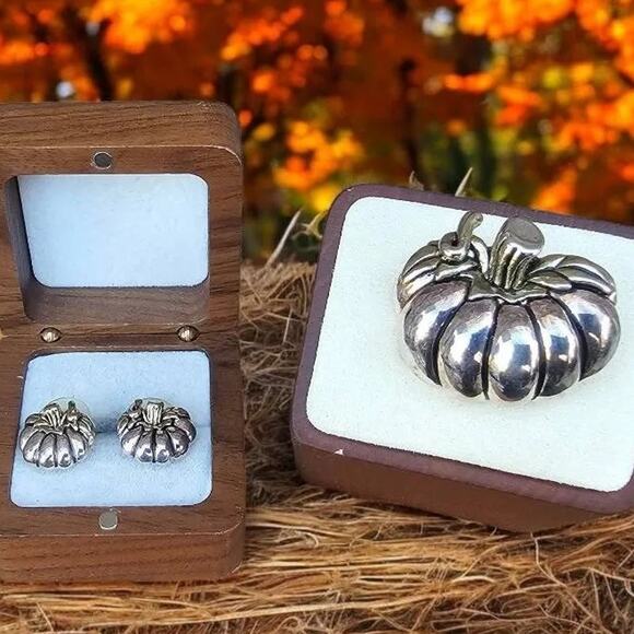 Pumpkin Autumn Harvest Silver Plated Brooch Pin Pendant Vintage MJ - Picture 2 of 6